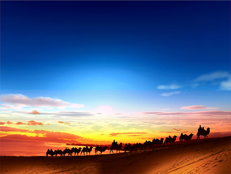 1518612918294853.jpg about12.jpg